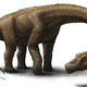 Illustration for article titled Scientists Have Discovered (Maybe) the Biggest Dinosaur Ever